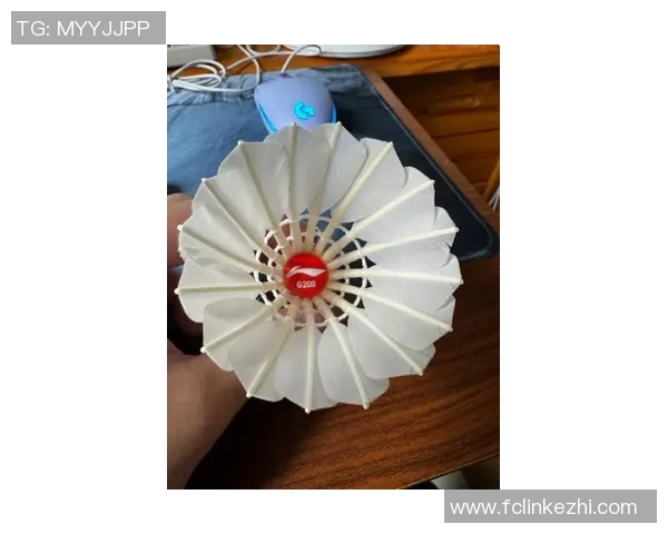 重庆羽毛球队引领最新羽毛球配合TOP10榜单展现实力与风采 重庆羽毛球队引领最新羽毛球配合TOP10榜单展现实力与风采