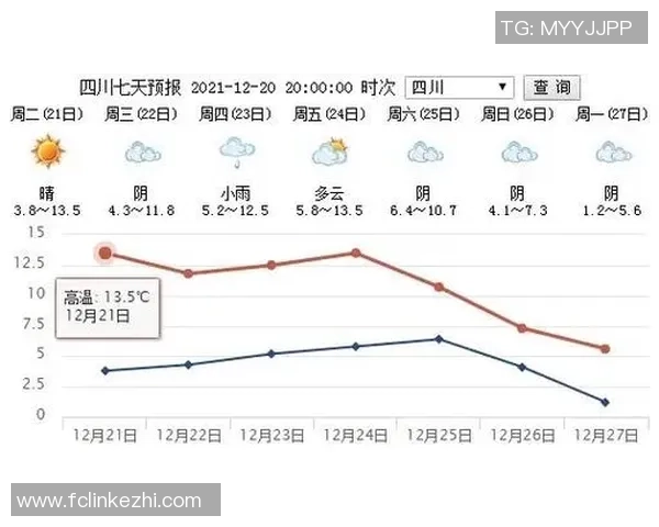 成都排球队在锦标赛中的技术表现分析与点评