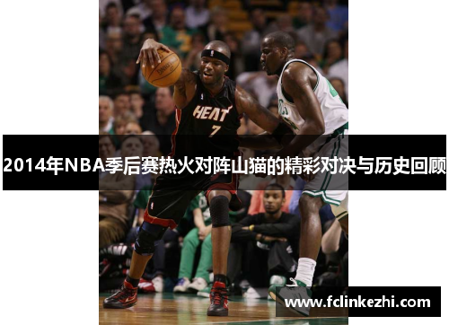 2014年NBA季后赛热火对阵山猫的精彩对决与历史回顾